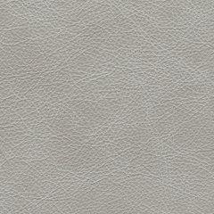 Amiata Upholstery Package - Watson's 87 Furniture (Middlefield,OH)