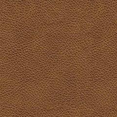Carianna Loveseat - Watson's 87 Furniture (Middlefield,OH)